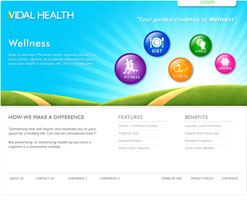 Protected: Visual Design – Vidal Health-Web App